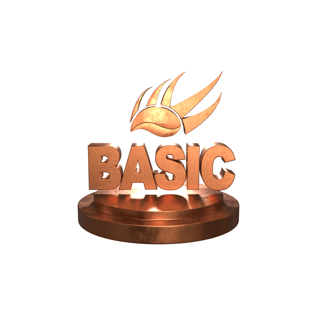 Basic Plan