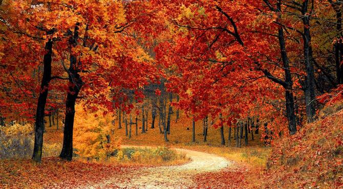 Ritual para armonizar y sembrar intenciones en el equinoccio de otoño