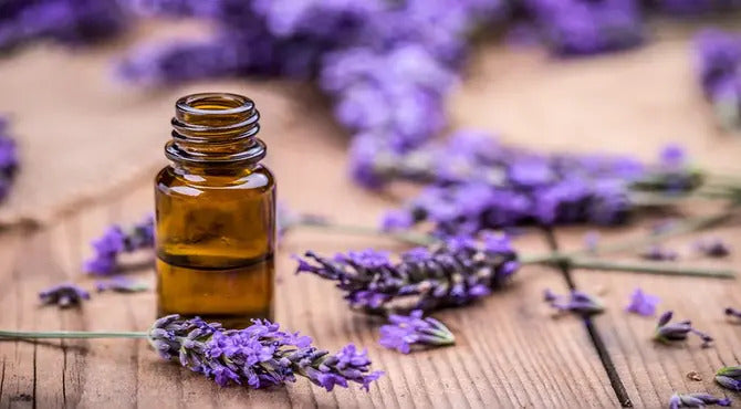Aromaterapia sagrada y resinas: aceites esenciales y esencias para rituales y protección