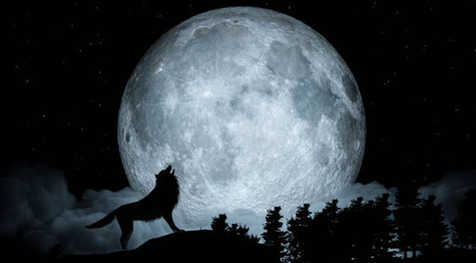 Luna llena de Lobo